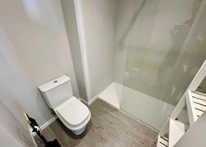 Coral 63 By Homeprive